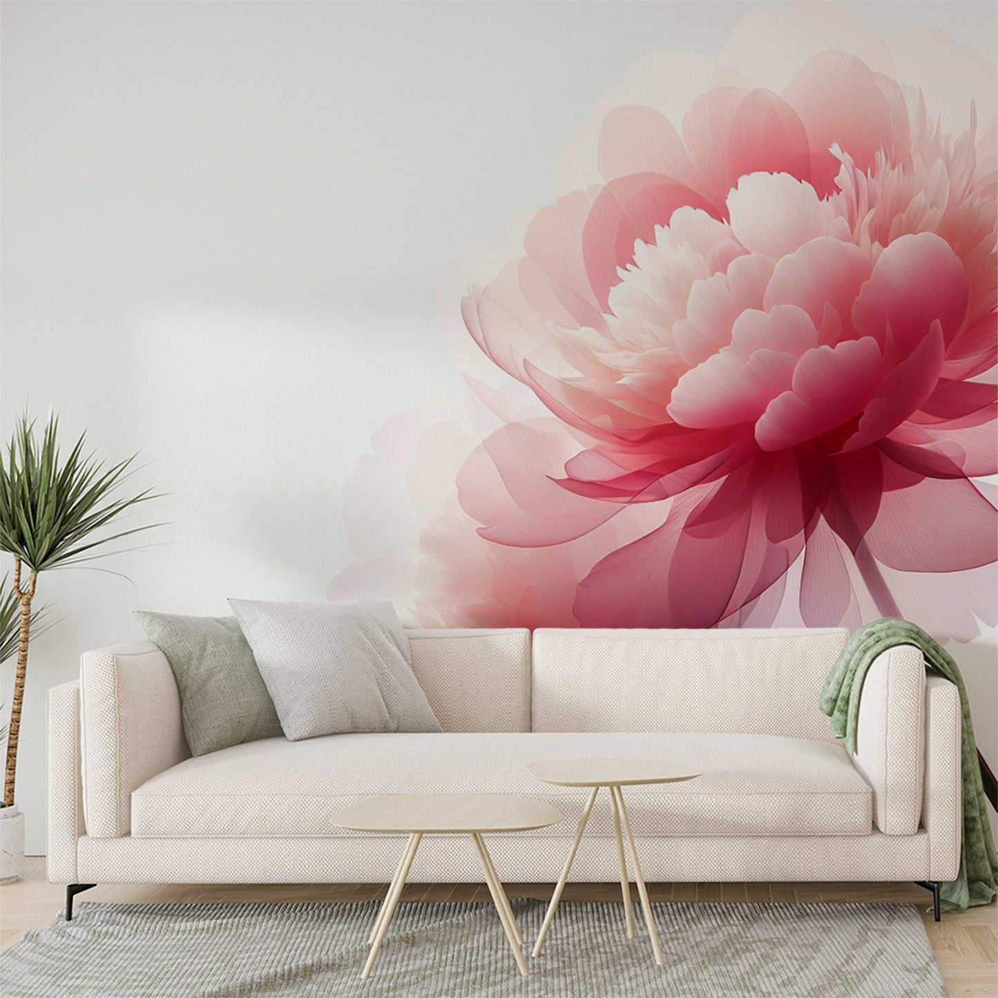 Tapete Blumen Rosa | Rosa Kamelien auf weißem Hintergrund