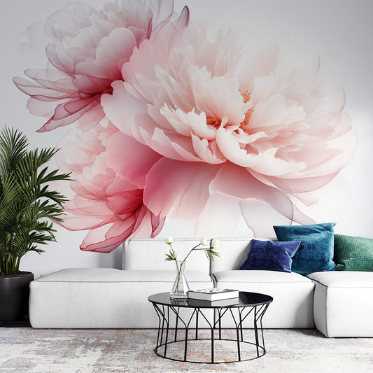 Tapete Blumen Rosa | Trio weiß und rosa Chrysanthemen