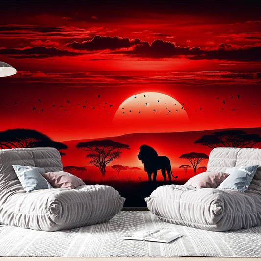 Tapete Afrika | Löwe mit rotem Sonnenuntergang