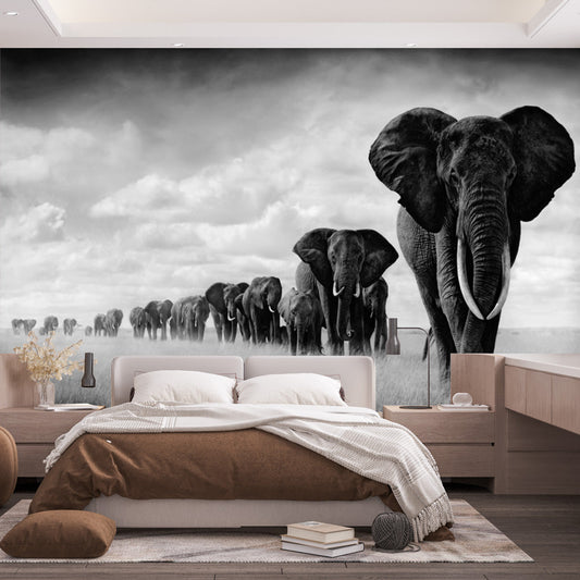 Tapete Tiere | Elefanten Nr. 003